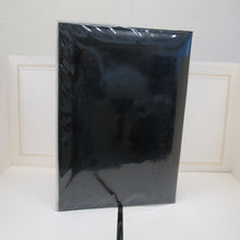 Load image into Gallery viewer, Pioneer Digital CD/DVD Photo Album
