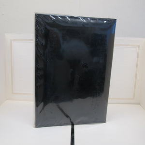 Pioneer Digital CD/DVD Photo Album
